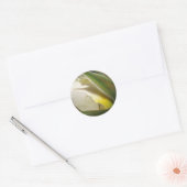 White Rose Bud Wedding Envelope Seal Ronde Sticker (Envelop)