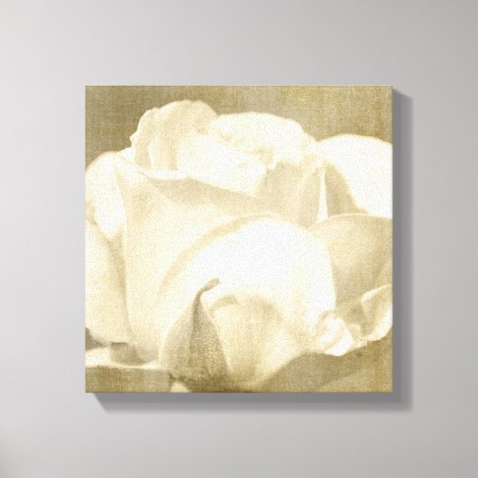 White Rose Canvas Afdruk (Voorkant)
