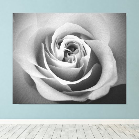 White Rose Canvas Afdruk (Insitu (Houten vloer))