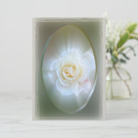 White Rose