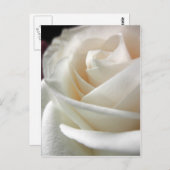 White Rose Floral Print Briefkaart (Voorkant / Achterkant)