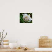White Rose Flower Art Poster (Keuken)