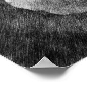 White Rose Flower Black Pencil Drawing Poster (Coin)