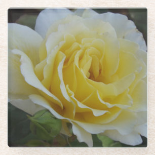 White Rose Glass Onderzetter