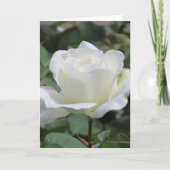 White Rose Greeting Card Aankondiging (Voorkant)