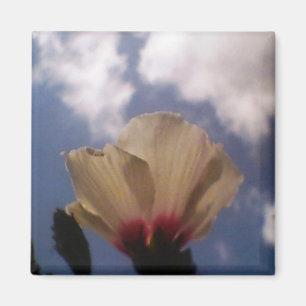 White Rose in the Cloudy Blue Sky Magneet