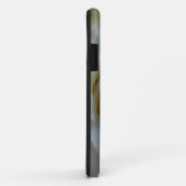 White Rose iPhone 5 Coque Rose classique coque iph (Dos/Droite)