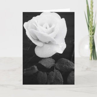 White Rose Kaart