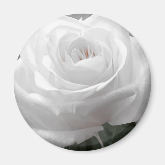 White Rose Magneet