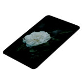 White Rose Magneet (Linkerzijde)