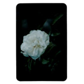 White Rose Magneet (Verticaal)