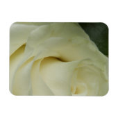 White Rose Magneet (Horizontaal)