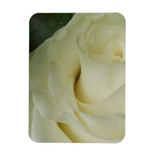 White Rose Magneet (Verticaal)