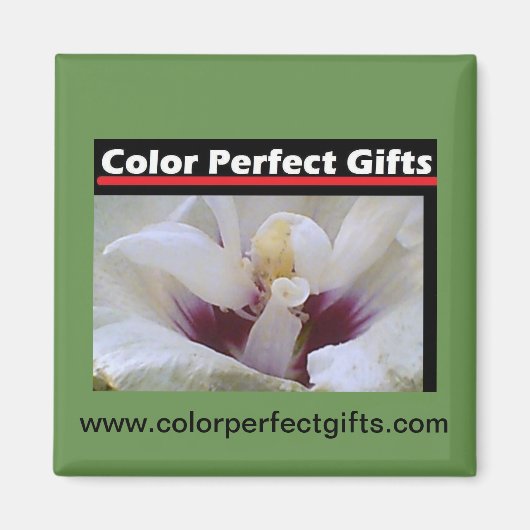 White Rose Magneet (Voorkant)