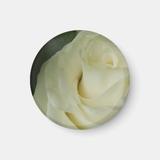 White Rose Magneet (Voorkant)