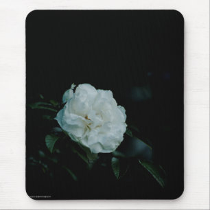 White Rose Muismat