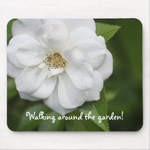 White Rose Muismat