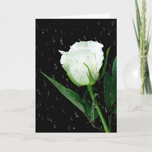 White Rose on Black met regendruppels Kaart (Voorkant)