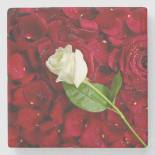 White Rose on Red Petals Stenen Onderzetter
