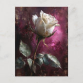 White Rose Paarse achtergrond Briefkaart (Voorkant)
