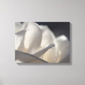 White Rose Petals Flower Canvas Afdruk (Voorkant)