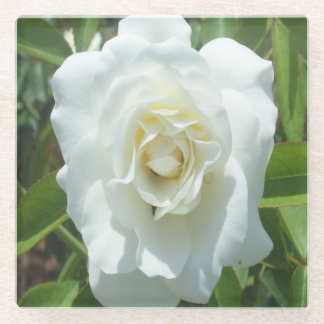 White Rose Photo Square Onderzetter