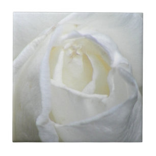 White Rose Photo Valentijn Tegeltje