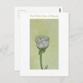 White Rose Postcard or Note Briefkaart (Voorkant / Achterkant)