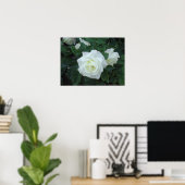 White Rose Poster (Thuiskantoor)