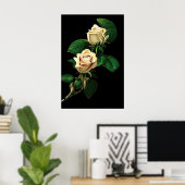White Rose Poster (Thuiskantoor)