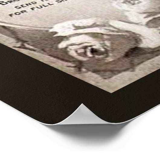 White Rose Soap Advertisation Poster (Hoek)