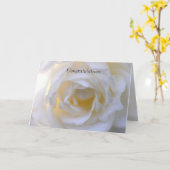 White rose soft focus kaart (Gele Bloem)