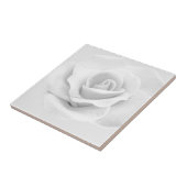 White Rose Tegeltje (Zijkant)