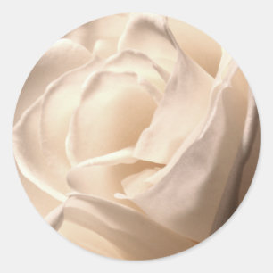White Rose Wedding Envelope Seal Large Ronde Sticker