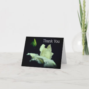 White Rosebud Flower - bedankt - kaart