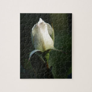 White Rosebud Legpuzzel