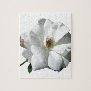 White Roses Party Douche Bruidsbloemen Destiny Legpuzzel