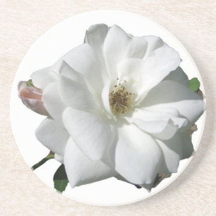 White Roses Party Douche Bruidsbloemen Destiny Zandsteen Onderzetter