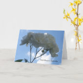 White Roses Sympathy Card Kaart (Gele Bloem)