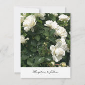 White Roses Wedding Invitation Kaart (Achterkant)