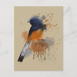 White Rumped Shama Bird Briefkaart