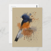 White Rumped Shama Bird Briefkaart (Voorkant / Achterkant)