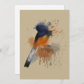 White Rumped Shama Bird Kaart (Voorkant / Achterkant)