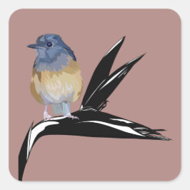White Rumped Shama bird Vierkante Sticker
