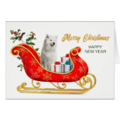 White Samoyed Dog-draagtas voor kerstkleppen (Voorkant Horizontaal)