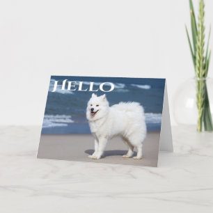White Samoyed Puppy Dog - Hallo, denken aan jou Kaart
