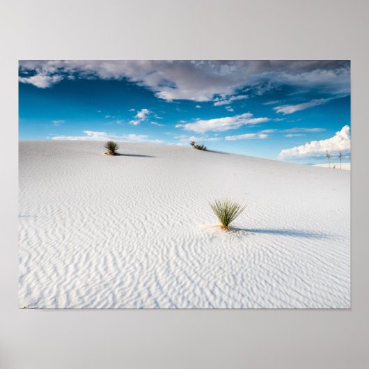 White Sands Blue Sky Yucca, New Mexico Poster (Voorkant)