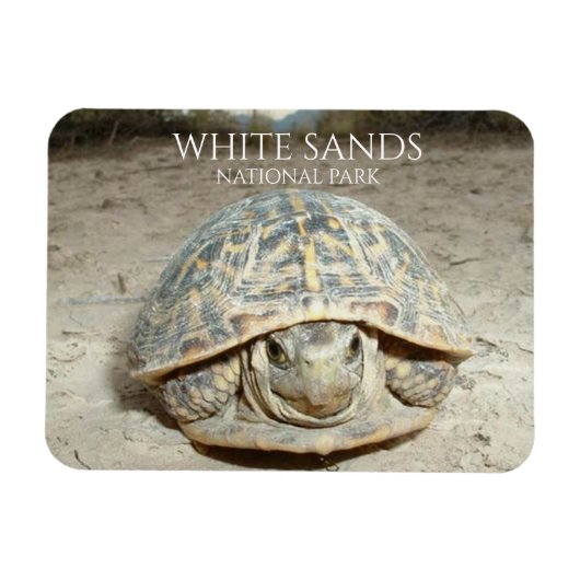 White Sands Desert Box Turtle Magneet (Horizontaal)
