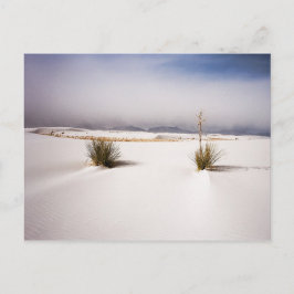 White Sands Morning postcard Briefkaart