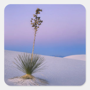 WHITE SANDS NATIONAAL MONUMENT, NIEUW MEXICO. VIERKANTE STICKER